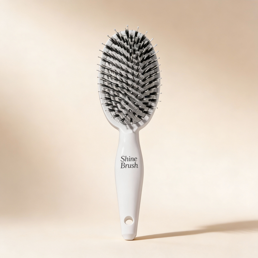 SHINE BRUSH V2